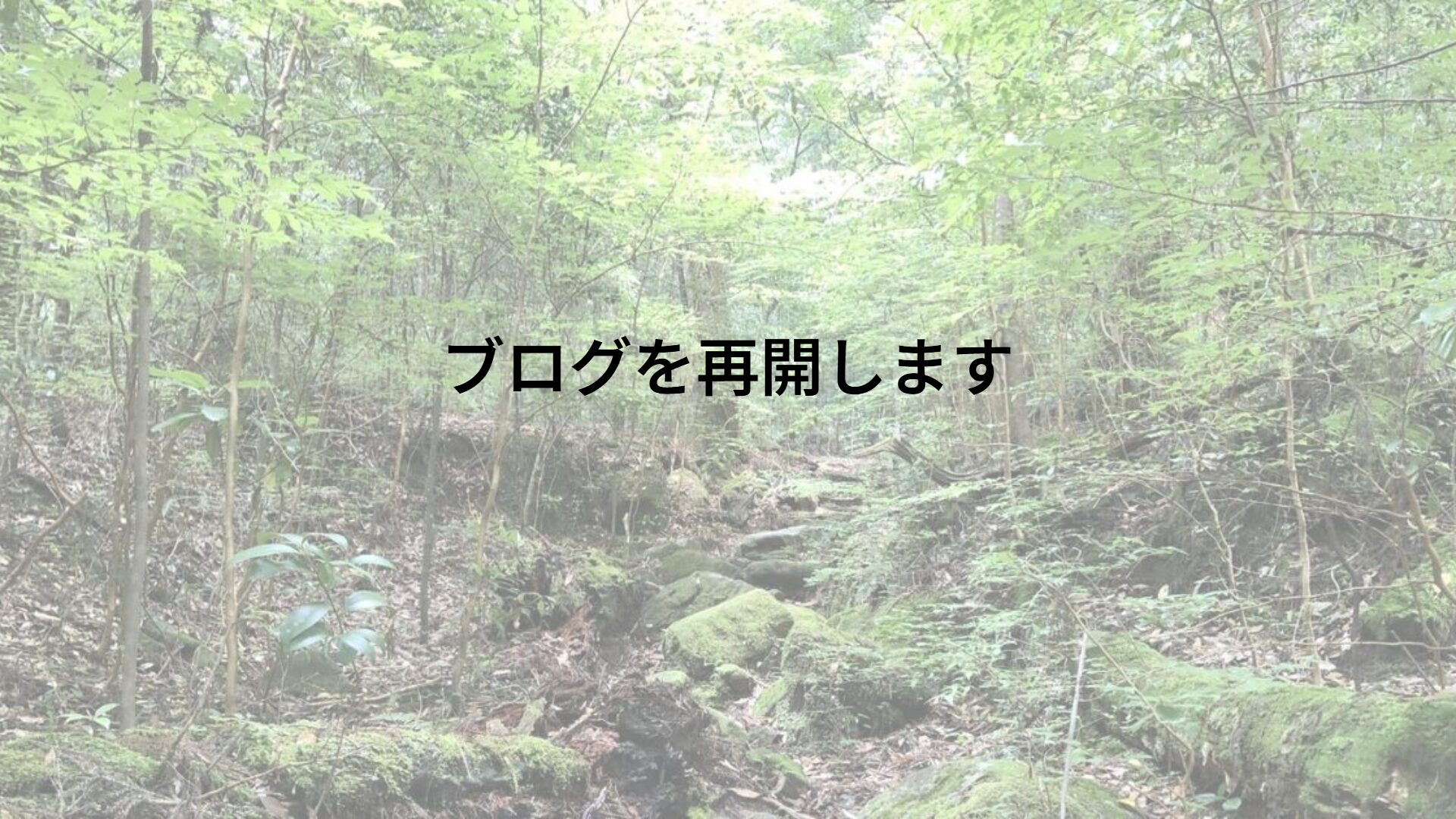 ブログを再開します